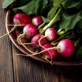 Radish & Rutabaga