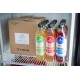 Laurentian Brew Kombucha Case of 12 Assorted Kombucha