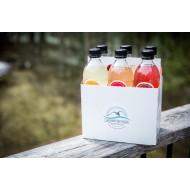 Laurentian Brew Kombucha - 6-Pack Top 3 Flavours of Kombucha